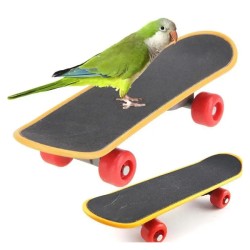 Parrot Skate Board 