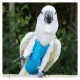 Bird Flight Suit -Aqua