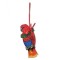 Eclectus Hen Ornament