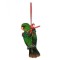 Eclectus Male Ornament