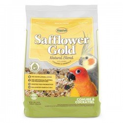 Higgins Safflower Gold Conure and Cockatiel 