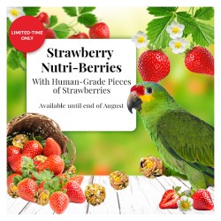 Strawberry Nutri berries Limited Edition Parrot