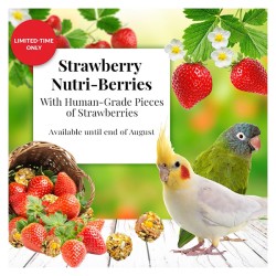 Strawberry Nutri berries Limited Edition Small Bird