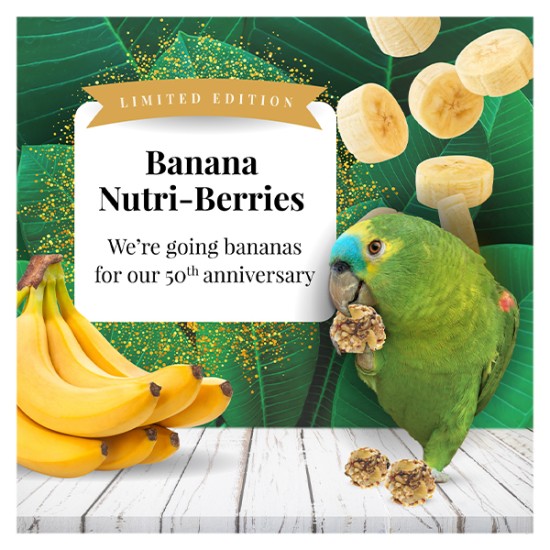 LIMITED EDITION Banana Nutri Berries  7oz Cockatiel 