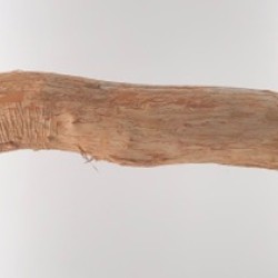Dragon Wood Perch 12" by 0.5"-1" 