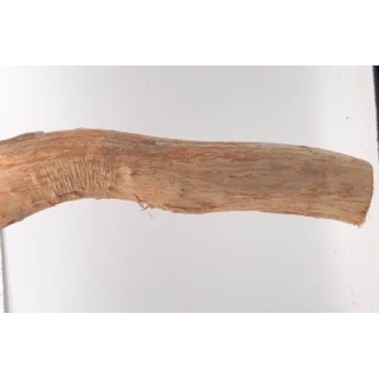 Dragon Wood Perch 12" by 1.5"-2" 