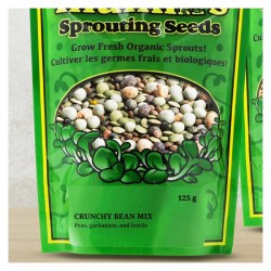 Sprouting Beans Crunchy Bean 