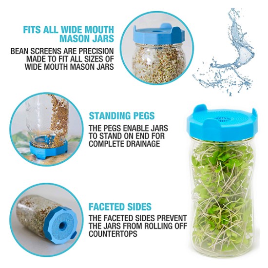 Jar Sprouting Kit with Seeds