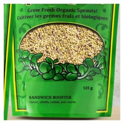 Sprouting Beans Snack Pack