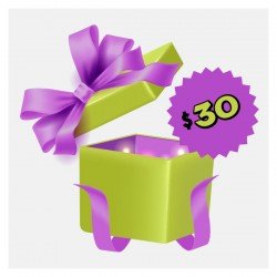 Mystery Toy Box Large Bird 