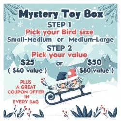 Mystery Toy Bag Promotion