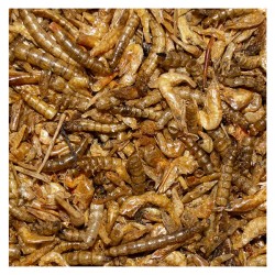 Dried Meal Worms 