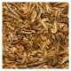 Dried Meal Worms 
