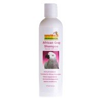African Grey Shampoo 