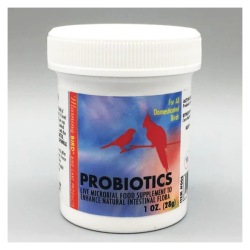 Morning Bird Probiotics 1oz